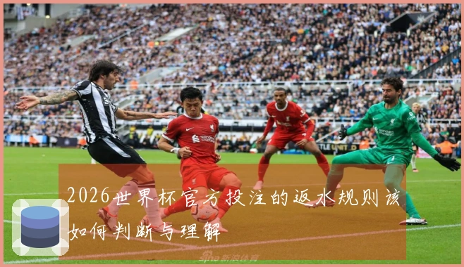 2026世界杯官方投注的返水规则该如何判断与理解