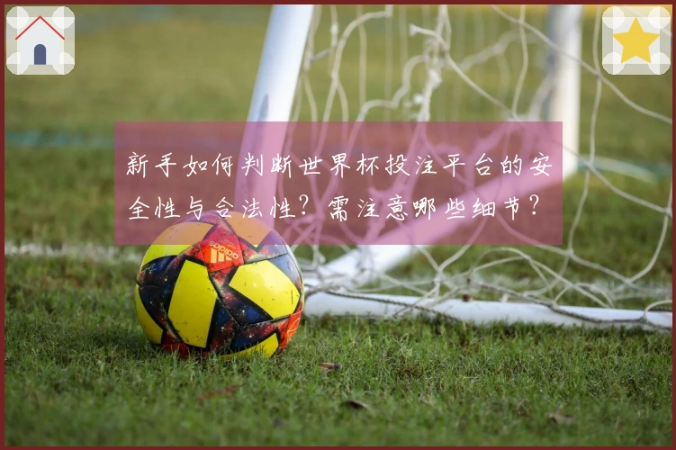 新手如何判断世界杯投注平台的安全性与合法性？需注意哪些细节？