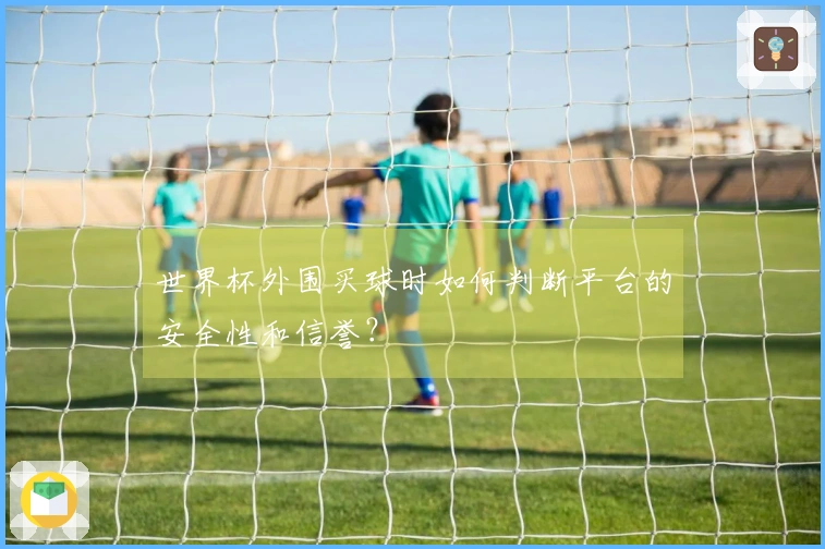 世界杯外围买球时如何判断平台的安全性和信誉？