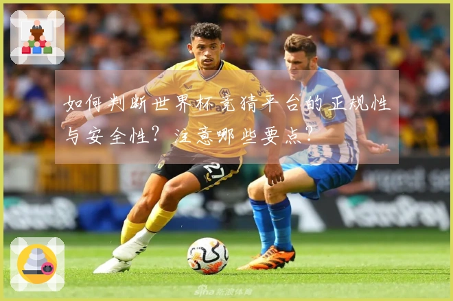 如何判断世界杯竞猜平台的正规性与安全性？注意哪些要点？