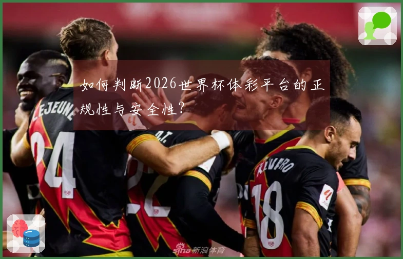 如何判断2026世界杯体彩平台的正规性与安全性？