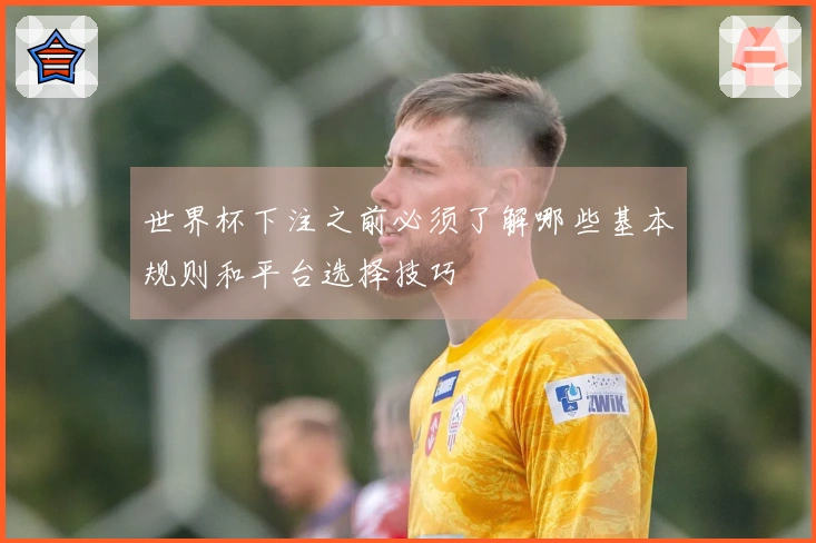 世界杯下注之前必须了解哪些基本规则和平台选择技巧
