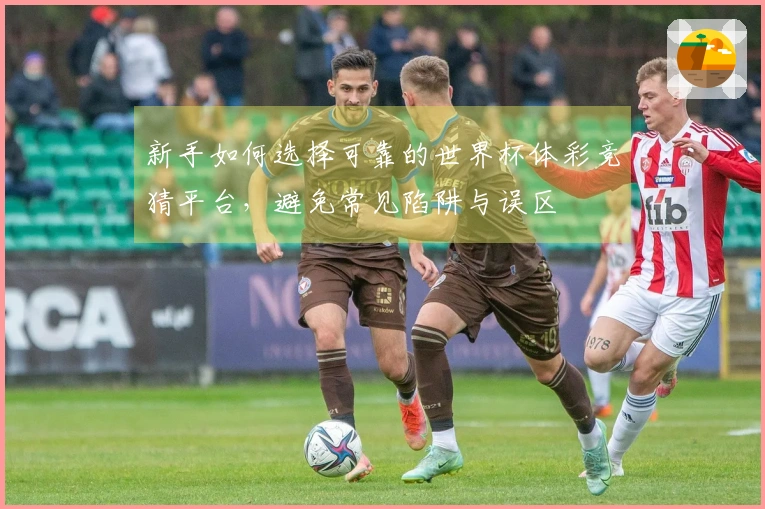新手如何选择可靠的世界杯体彩竞猜平台，避免常见陷阱与误区