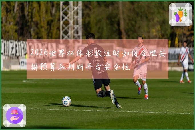 2026世界杯体彩投注时如何合理安排预算和判断平台安全性