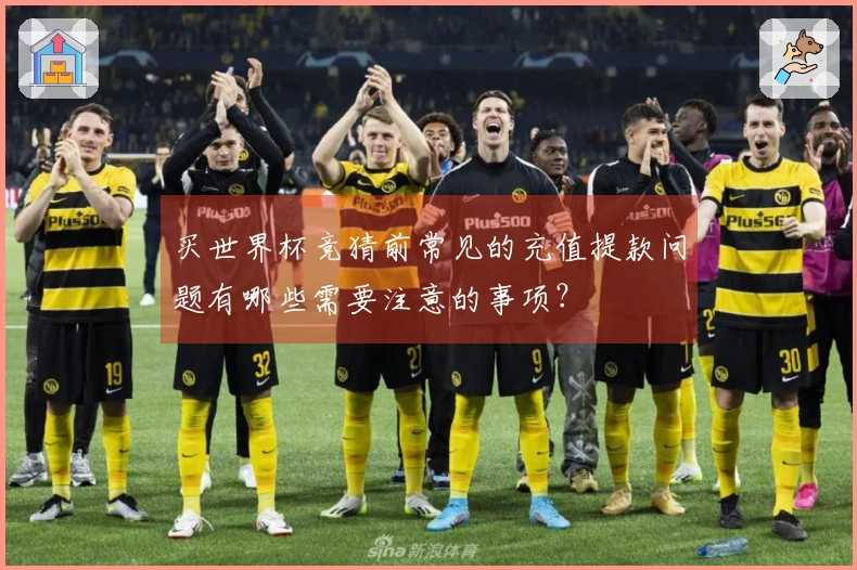 买世界杯竞猜前常见的充值提款问题有哪些需要注意的事项？