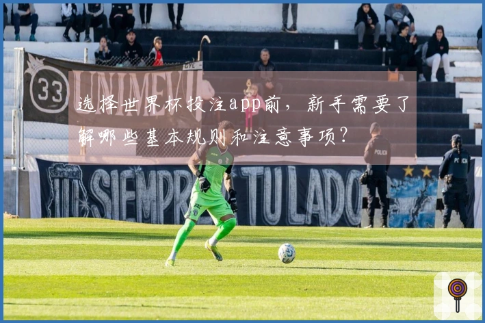 选择世界杯投注app前，新手需要了解哪些基本规则和注意事项？
