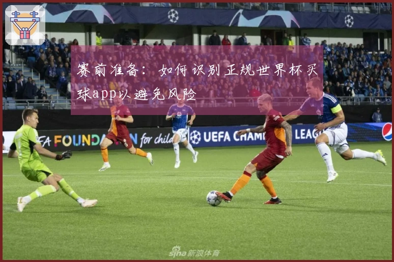 赛前准备：如何识别正规世界杯买球app以避免风险