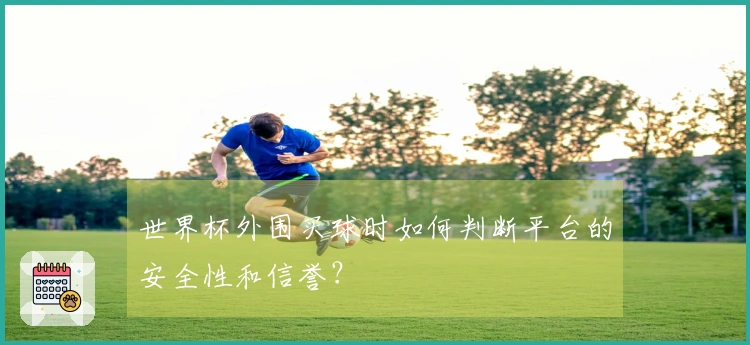 世界杯外围买球时如何判断平台的安全性和信誉？