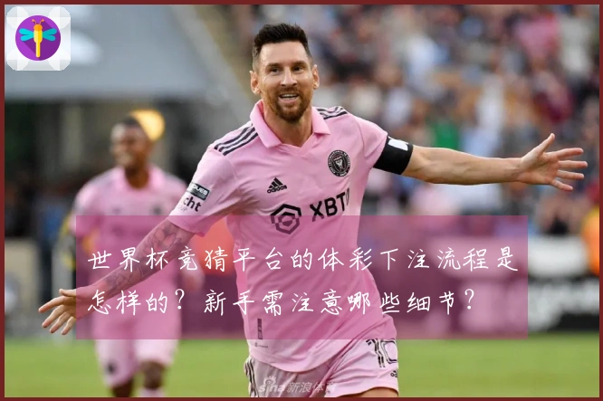世界杯竞猜平台的体彩下注流程是怎样的？新手需注意哪些细节？