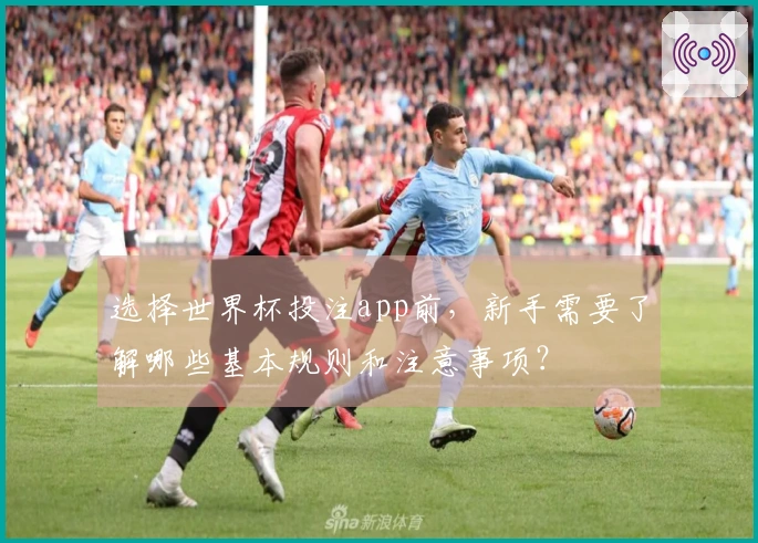 选择世界杯投注app前，新手需要了解哪些基本规则和注意事项？