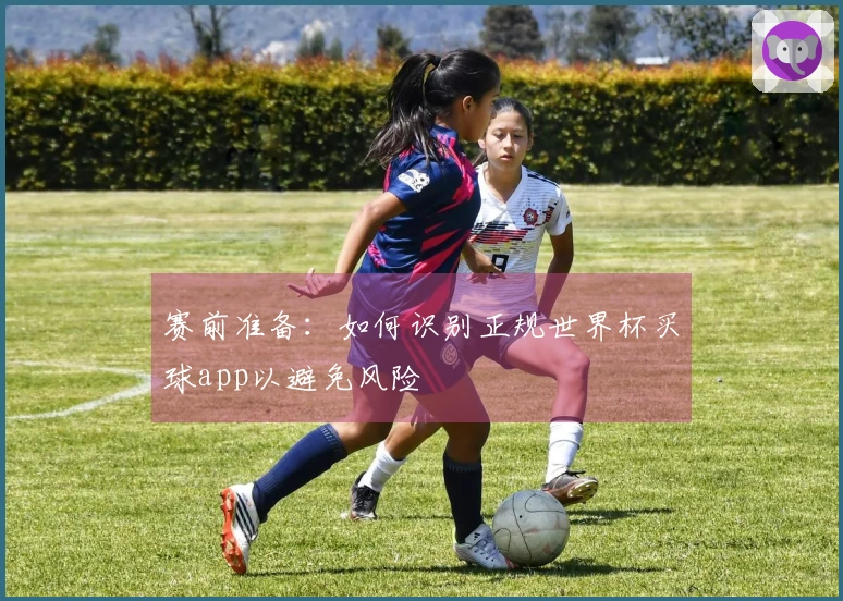 赛前准备：如何识别正规世界杯买球app以避免风险