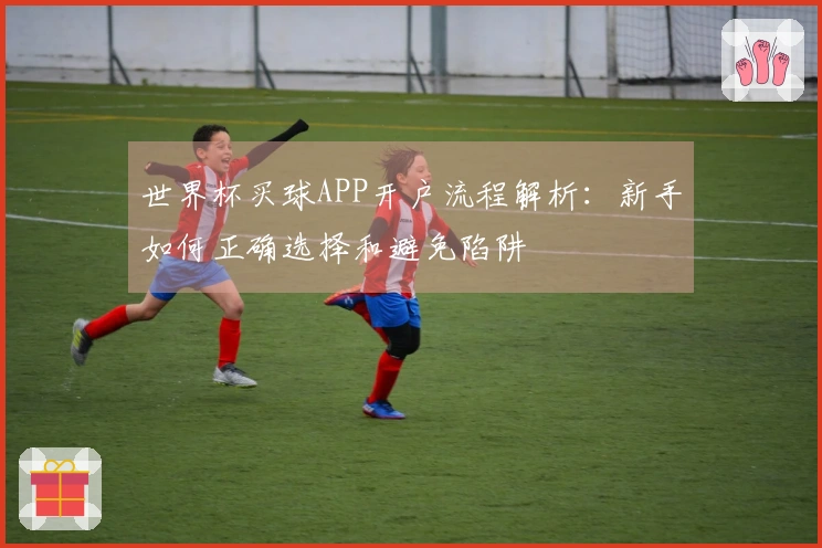 世界杯买球APP开户流程解析：新手如何正确选择和避免陷阱