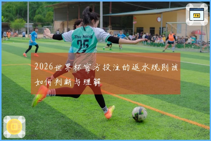 2026世界杯官方投注的返水规则该如何判断与理解