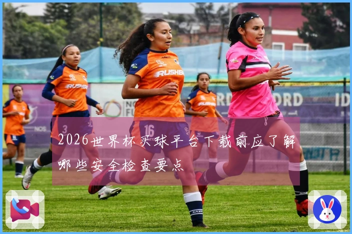 2026世界杯买球平台下载前应了解哪些安全检查要点