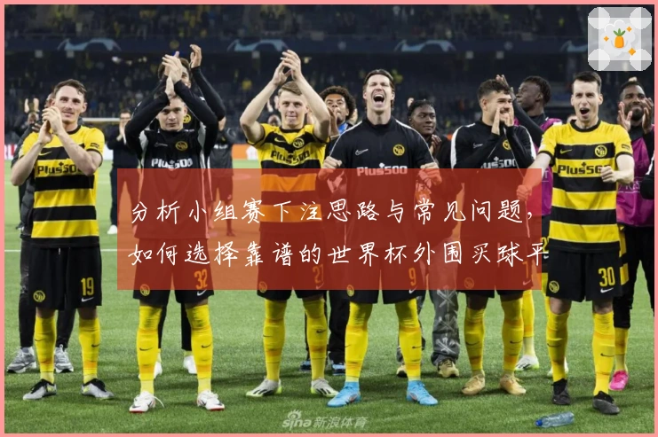 分析小组赛下注思路与常见问题，如何选择靠谱的世界杯外围买球平台