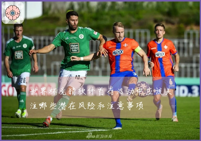 世界杯竞猜软件首存活动中应该关注哪些潜在风险和注意事项