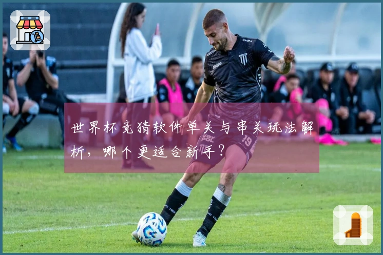 世界杯竞猜软件单关与串关玩法解析，哪个更适合新手？