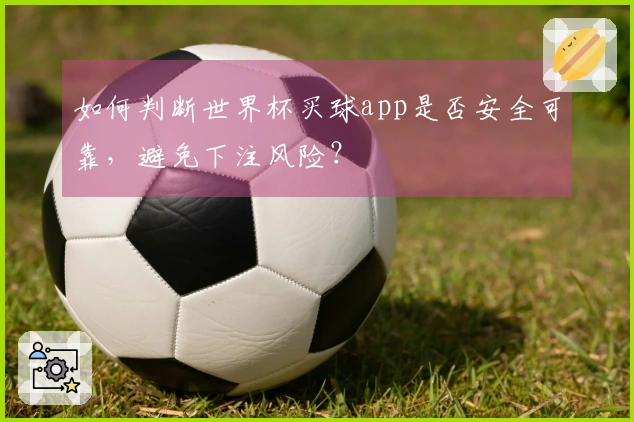 如何判断世界杯买球app是否安全可靠，避免下注风险？