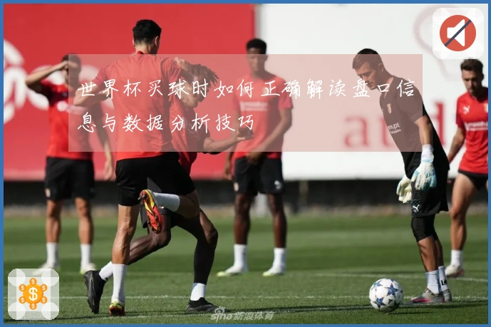 世界杯买球时如何正确解读盘口信息与数据分析技巧