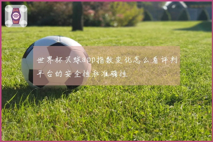 世界杯买球app指数变化怎么看评判平台的安全性和准确性