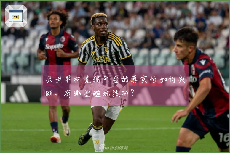 买世界杯竞猜平台的真实性如何判断，有哪些避坑技巧？