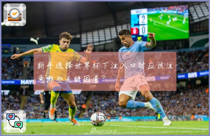 新手选择世界杯下注入口时应该注意哪些关键因素？