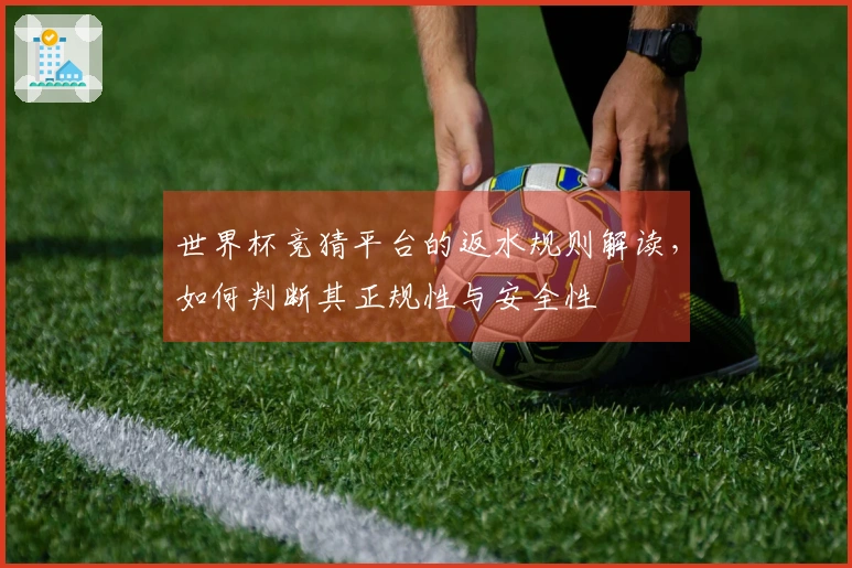 世界杯竞猜平台的返水规则解读，如何判断其正规性与安全性