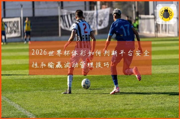 2026世界杯体彩如何判断平台安全性和输赢波动管理技巧