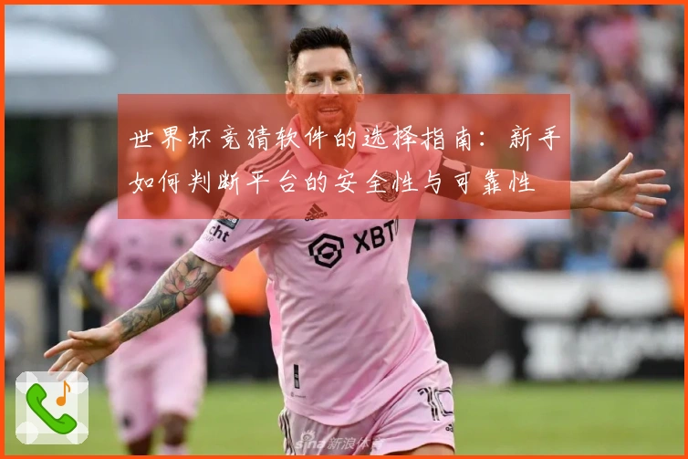 世界杯竞猜软件的选择指南：新手如何判断平台的安全性与可靠性